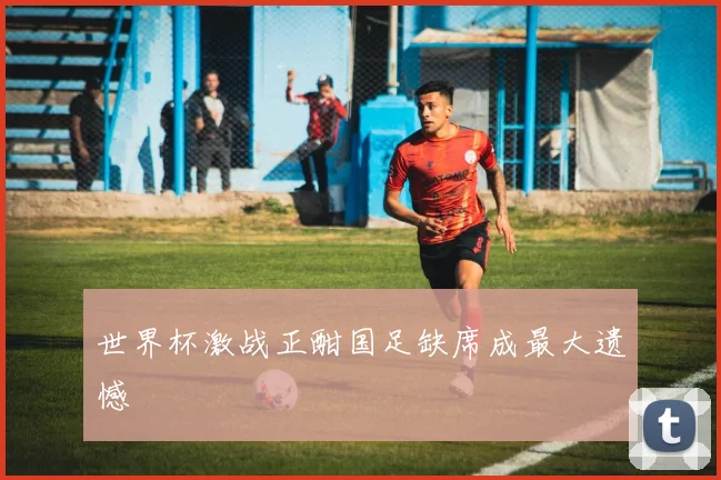 世界杯激战正酣国足缺席成最大遗憾